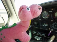 Highlight for Album: Flight to Everglades City